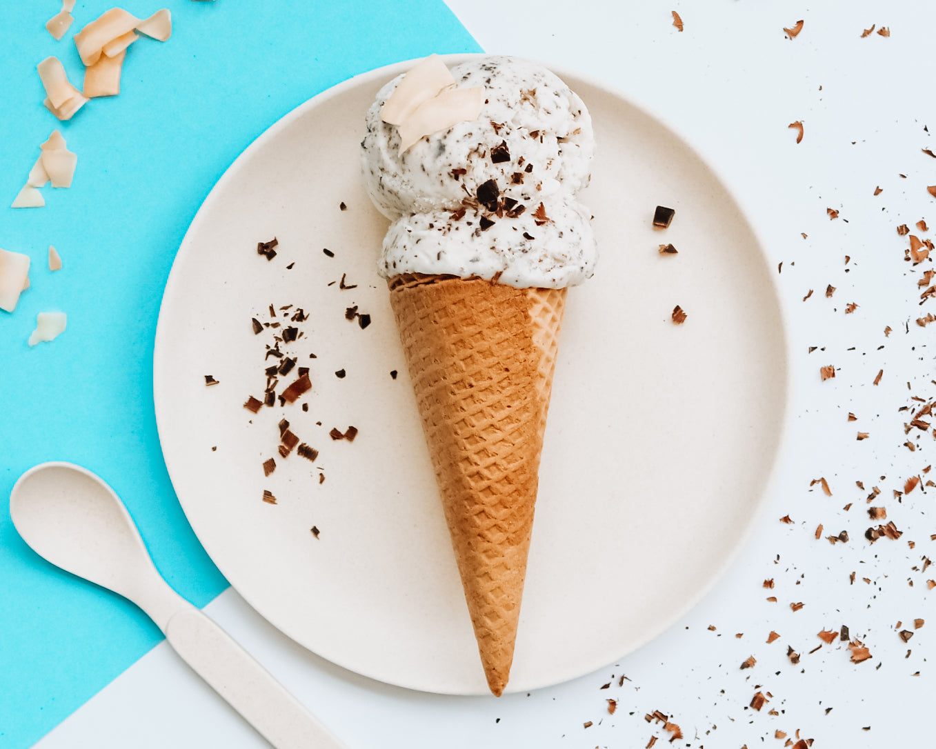 Coconut Dairy Ice Cream