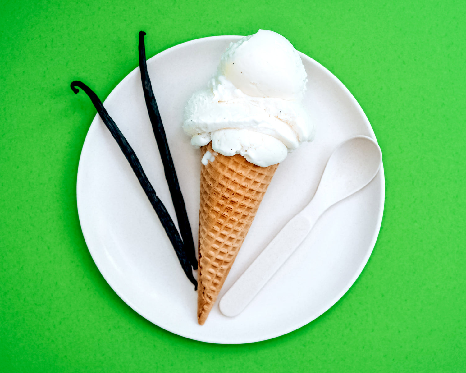 Vanilla Vegan Ice Cream